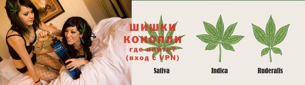 бошки Богданович