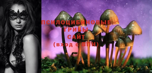 ALPHA-PVP Протвино