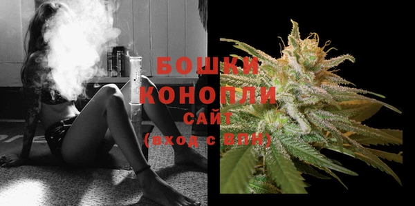 бошки Богданович